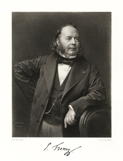 Edmond Fremy by Jean Baptiste Adolphe Lafosse